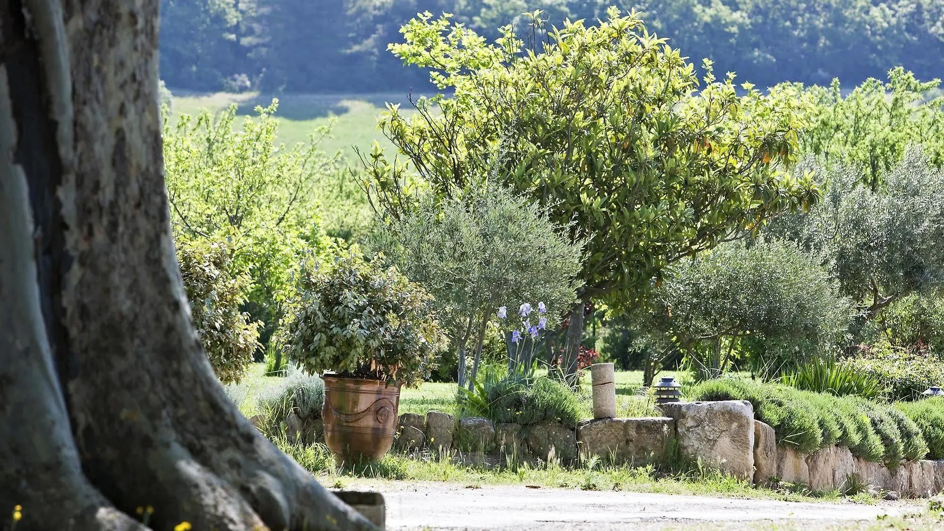 Le Mas de Guilles Lourmarin Hotel